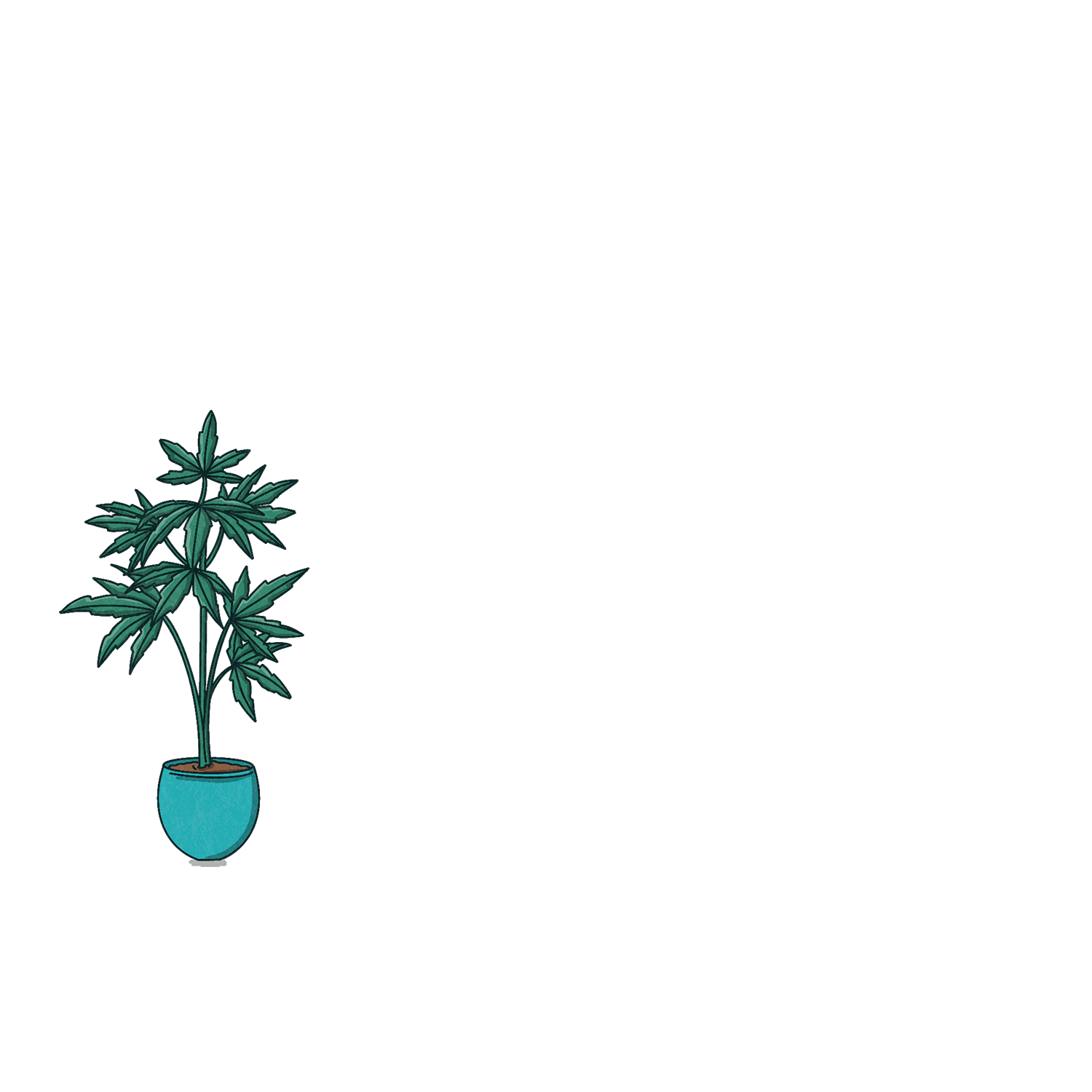 Plant